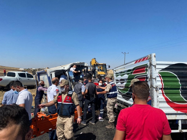 Fotoğraf: TRT Haber